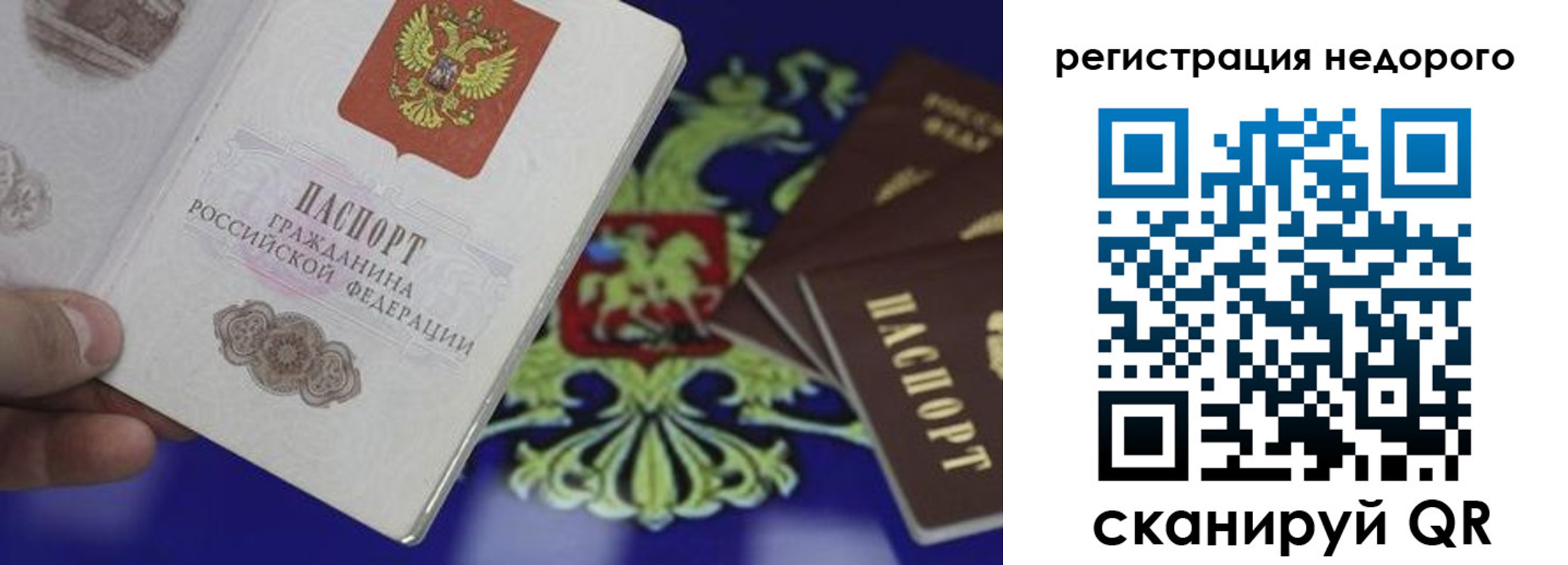 пропишу в квартире в Санкт-Петербурге